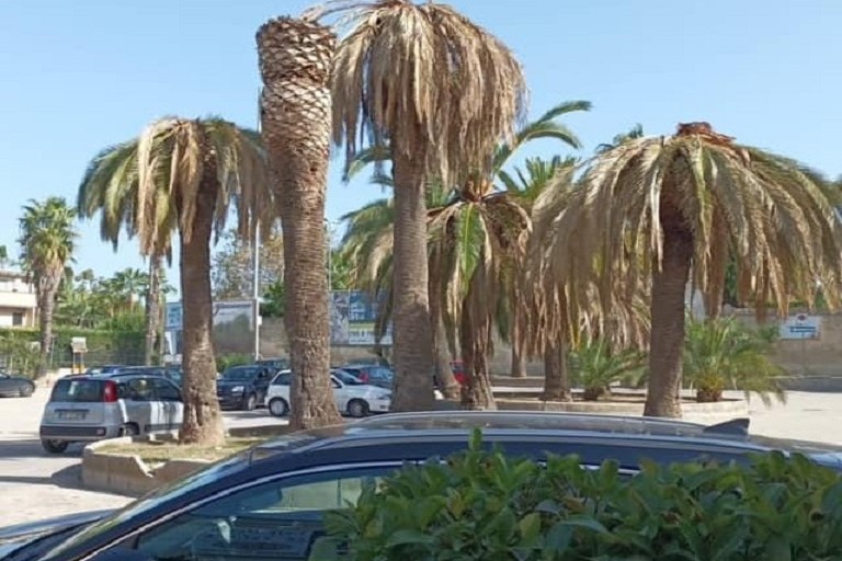piazza San Pio X