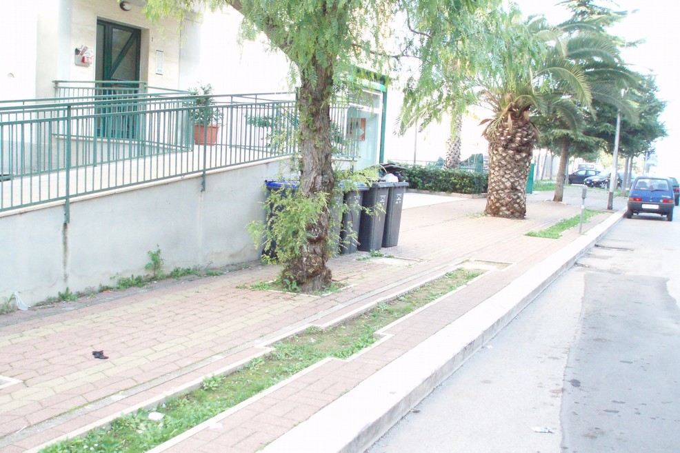 pista ciclabile di via Mattia Preti