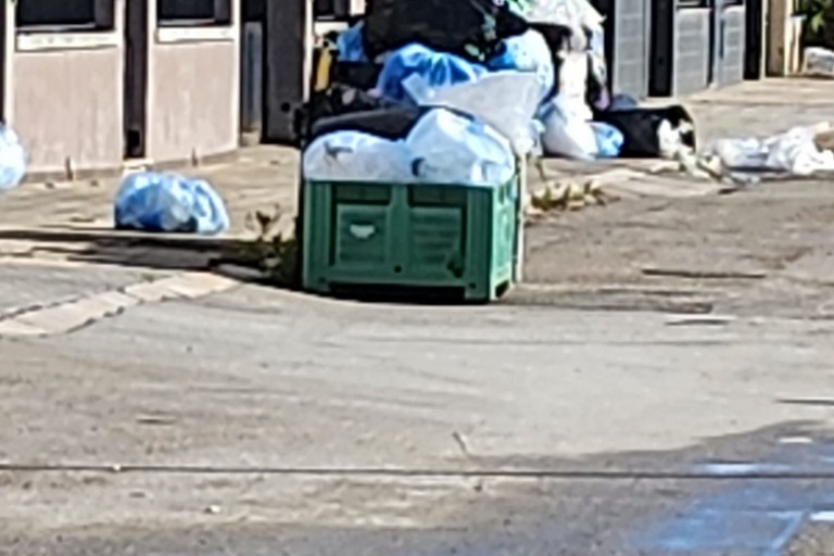Mancata raccolta plastica nella zona PIP