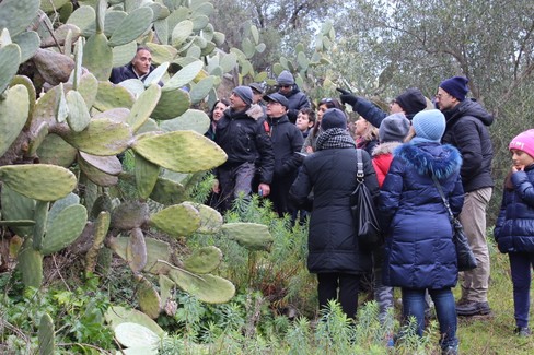 Passeggiata nel Parco Nazionale dell'Alta Murgia