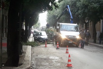 Potatura Viale Roma bloccata