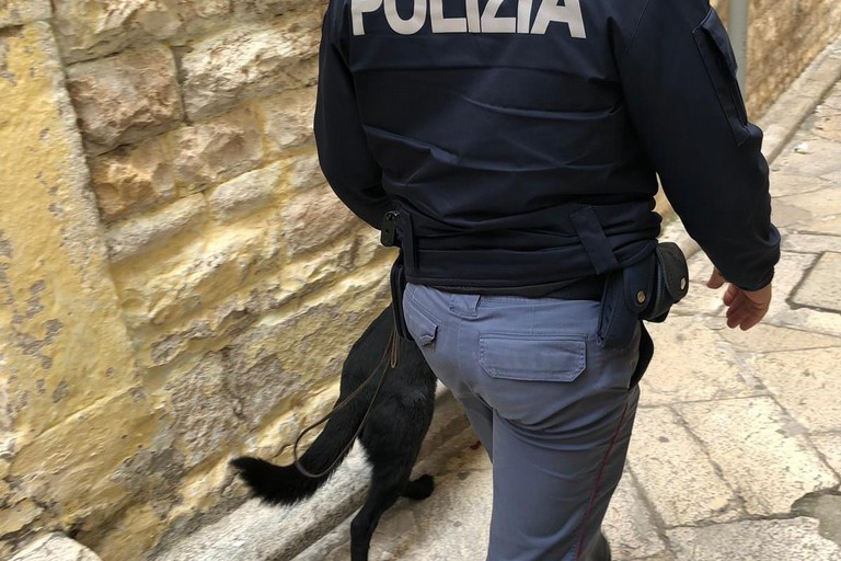controlli cinofili della Polizia di Stato