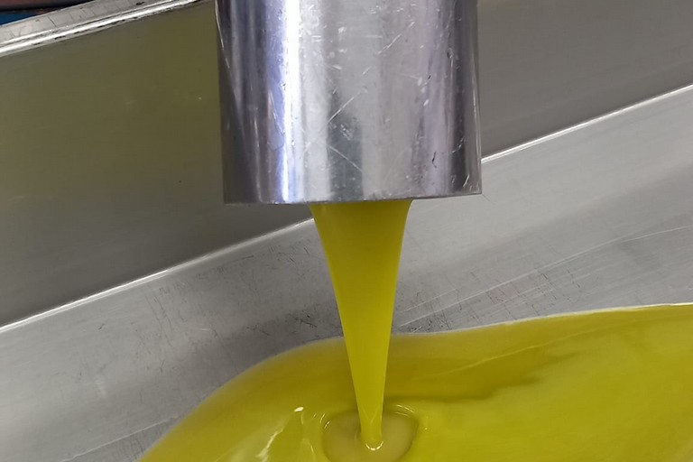 olio d'oliva