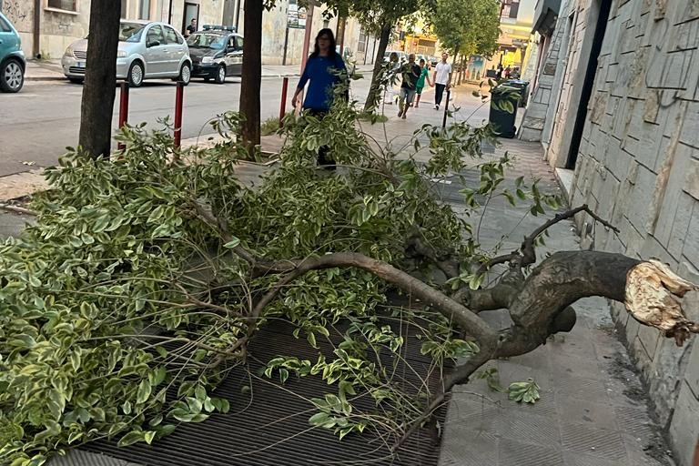grosso ramo caduto in via Cappuccini
