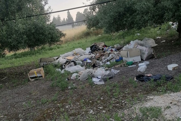 rifiuti nelle campagne di Andria