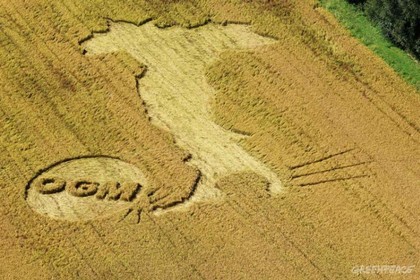 TTIP - nuovo trattato Europa America