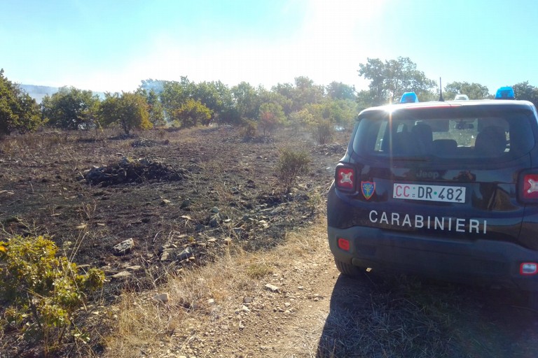 Carabinieri Forestali