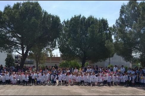 Festa della natura al 3° Circolo Didattico