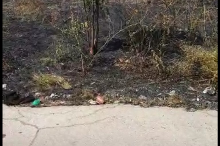 Incendio di sterpaglia