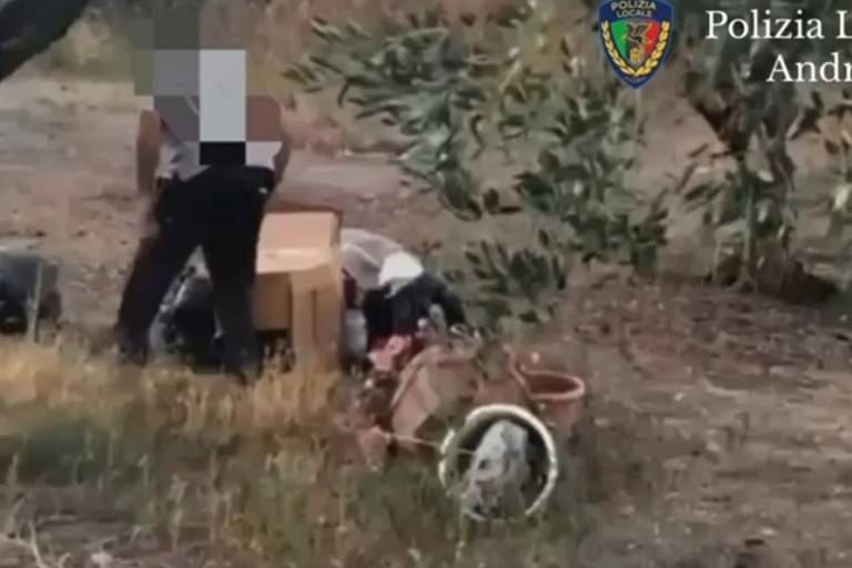 Abbandono illecito di rifiuti, identificato il responsabile