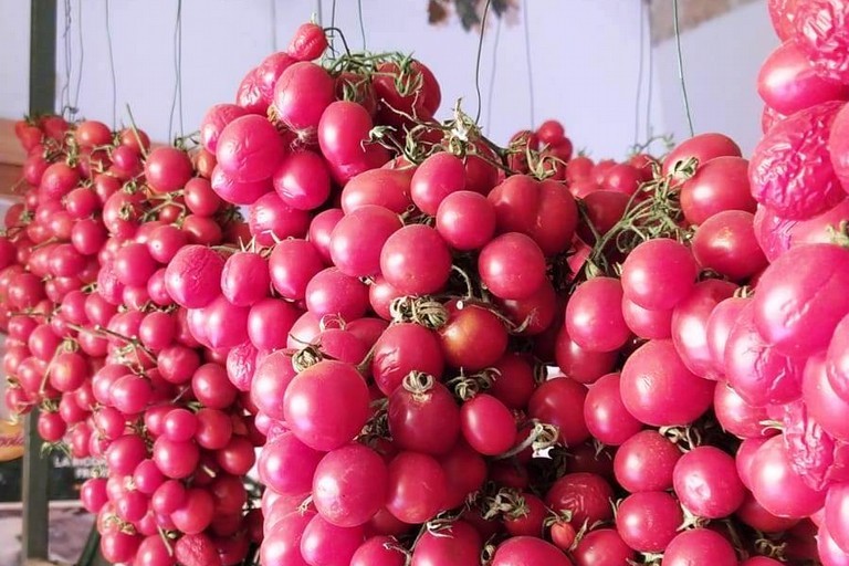 pomodorini