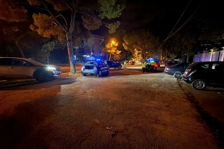 servizi della Polizia Locale