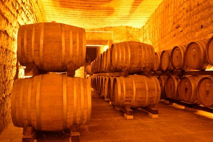 Cantina, botti di vino