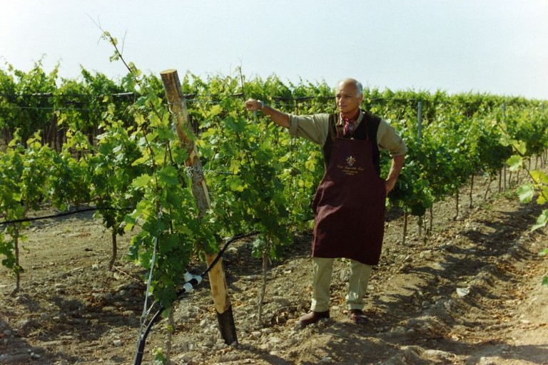 Conte Onofrio Spagnoletti Zeuli