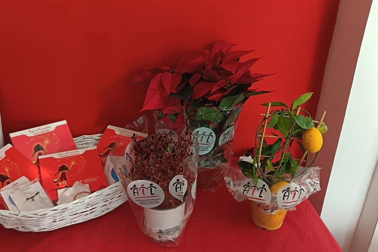 stelle di Natale