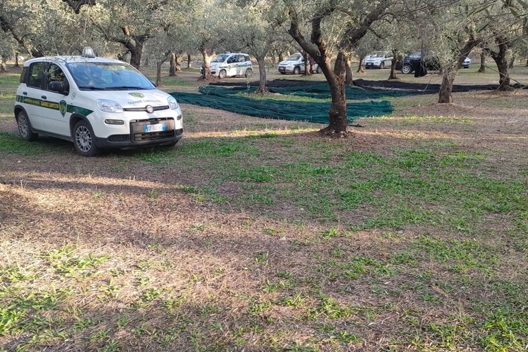 Guardie Campestri di Andria