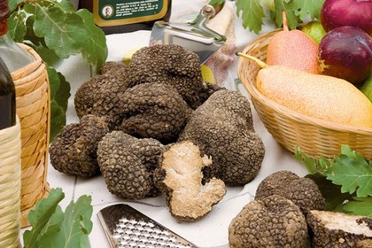 Tartufo