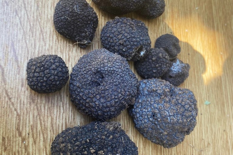 Tartufo
