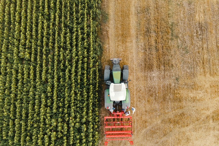 Operaio agricolo morto a Andria