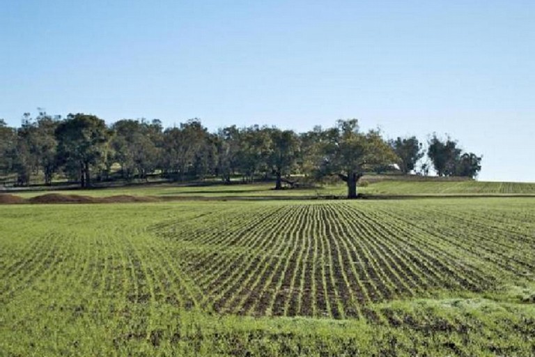 terreno agricolo