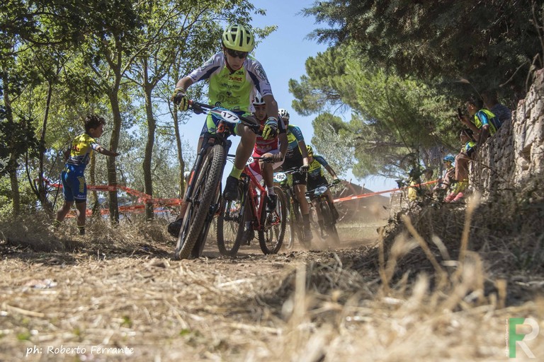 Trofeo Tannoja