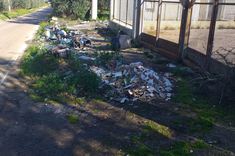 Strada provinciale 43 invasa dai rifiuti e piena di buche