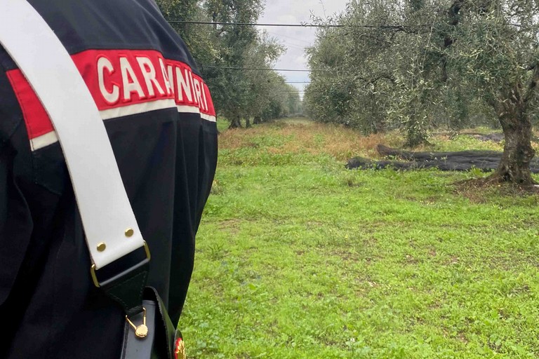 controlli dei carabinieri