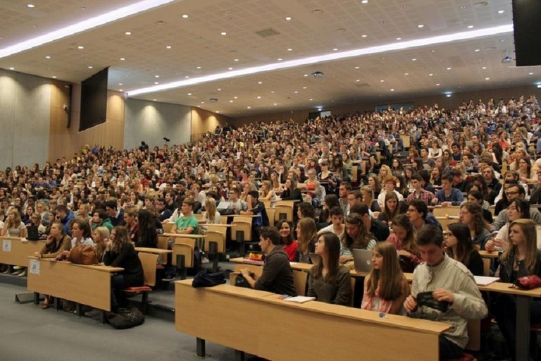 università