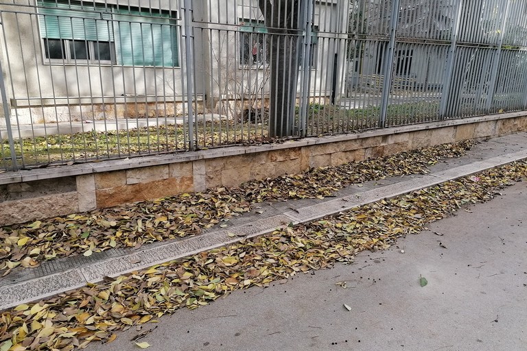 Manca la raccolta del fogliame ed i residenti fanno da sè