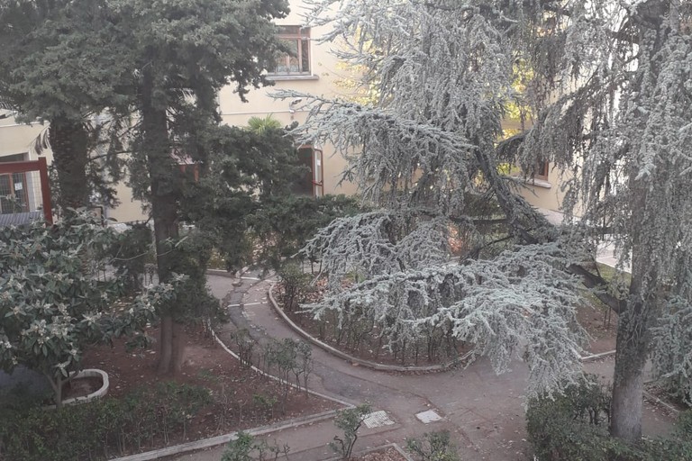 Scuola Media Statale 