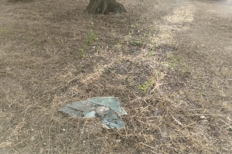 Abbandono di vetri in un terreno di contrada