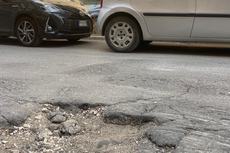 Interventi di manutenzione del verde su via Martiri di Bologna