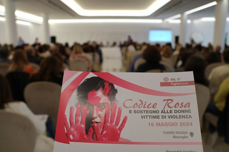 Codice Rosa e sostegno alle donne vittime di violenza