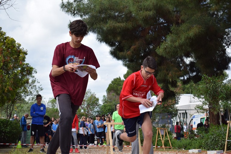 Orienteering