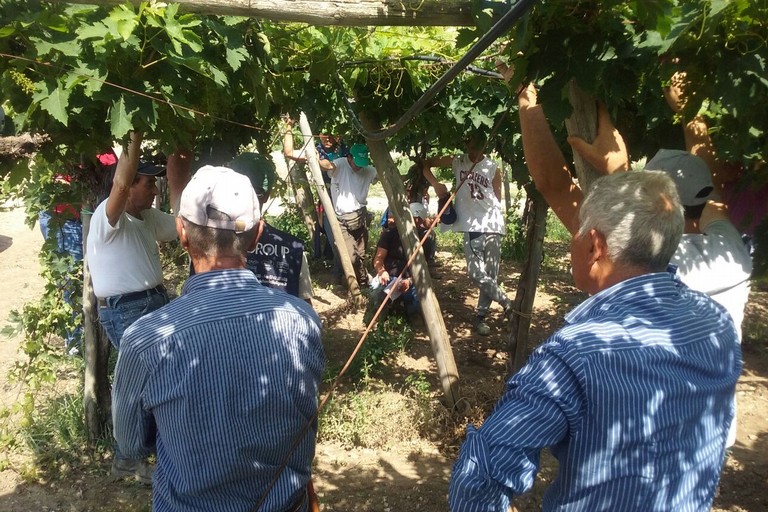 Assemblea operai agricoli