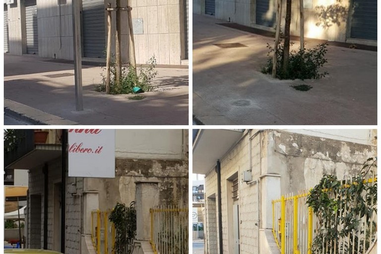 Foto cartelli abusivi rimossi