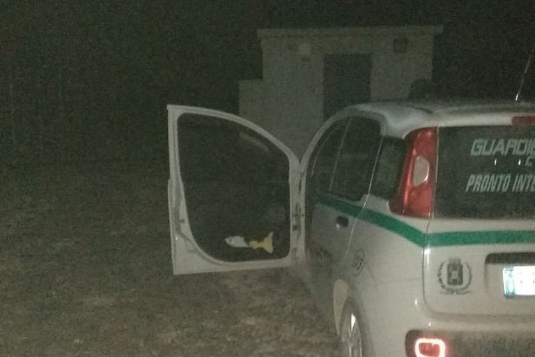 Guardie Campestri Corato