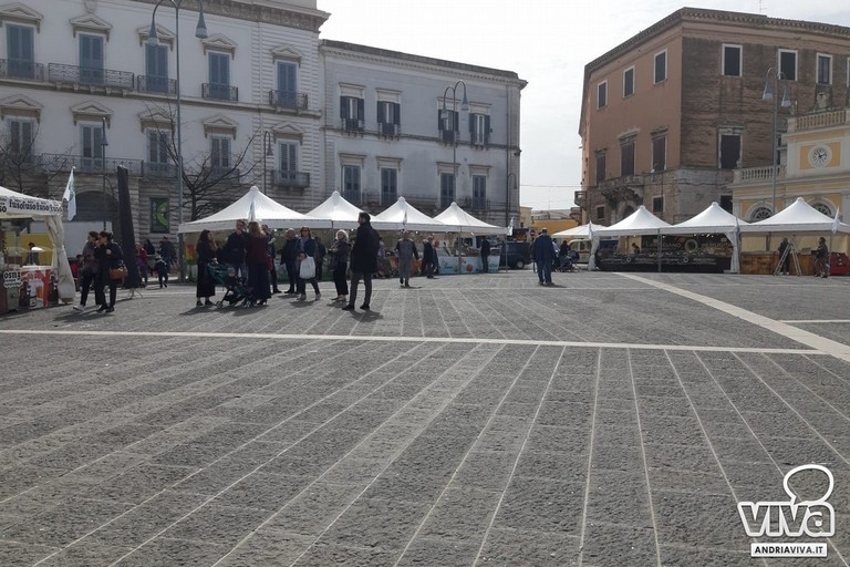 manifestazione in piazza Catuma