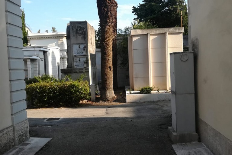 palma nel cimitero comunale