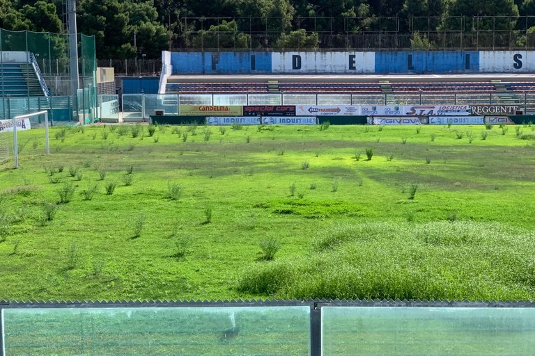Le attuali condizioni del manto erboso allo stadio 