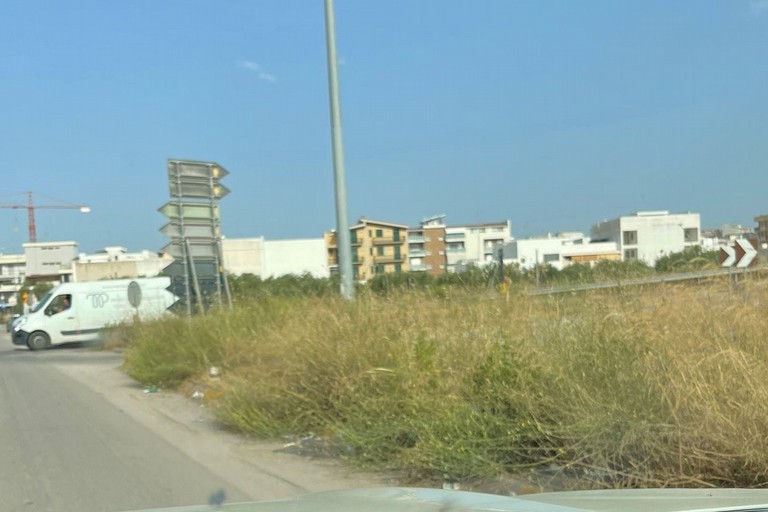 Sterpaglie nelle aree adiacenti alle strade