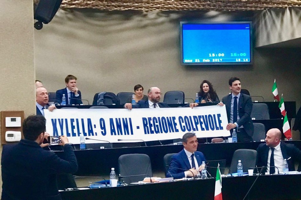 Xylella in aula striscione