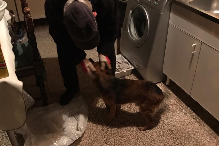 Ciccio è ritornato al borgo di Montegrosso