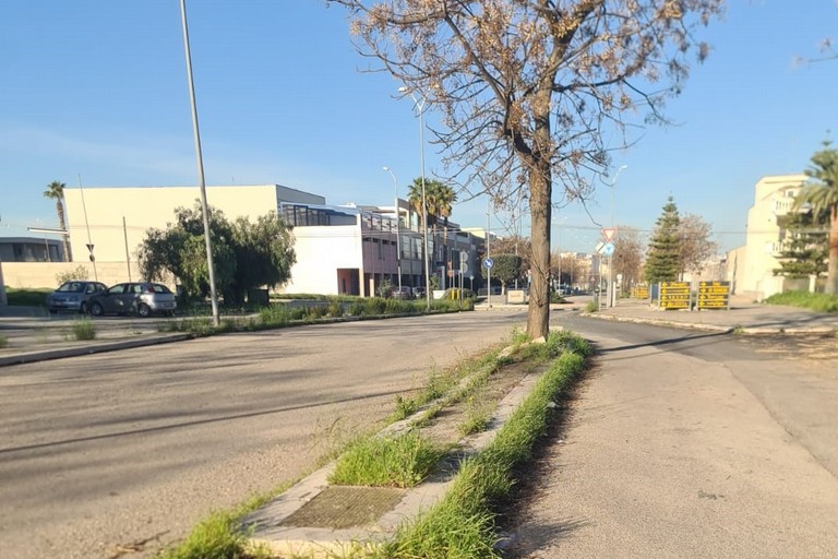 zona PIP Andria